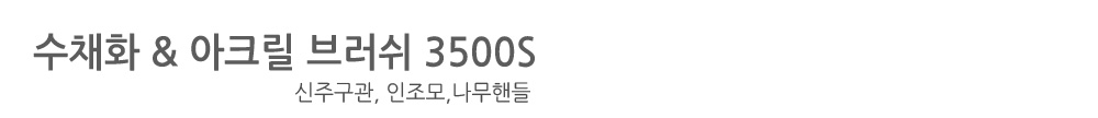 3500s_.jpg